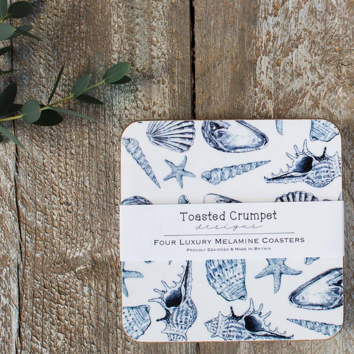 Inky Shells Set of 4 Coasters