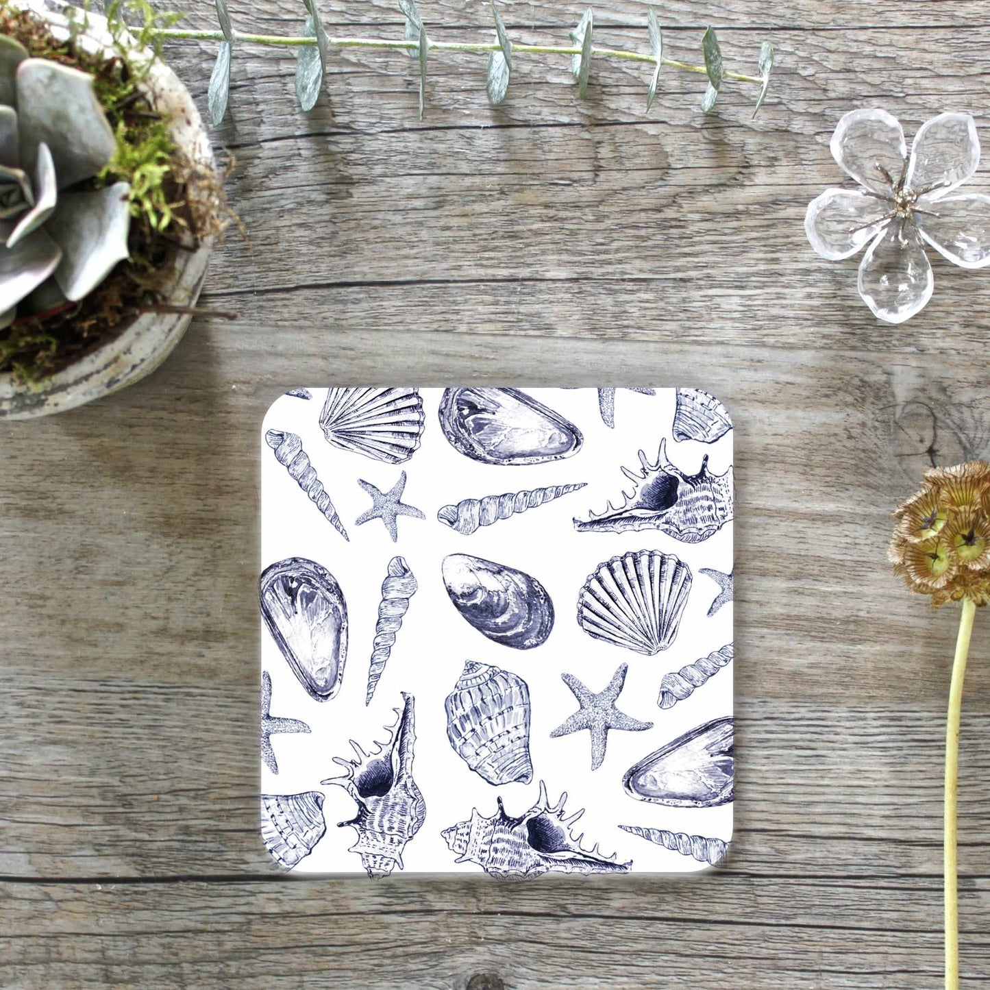Inky Shells Set of 4 Coasters