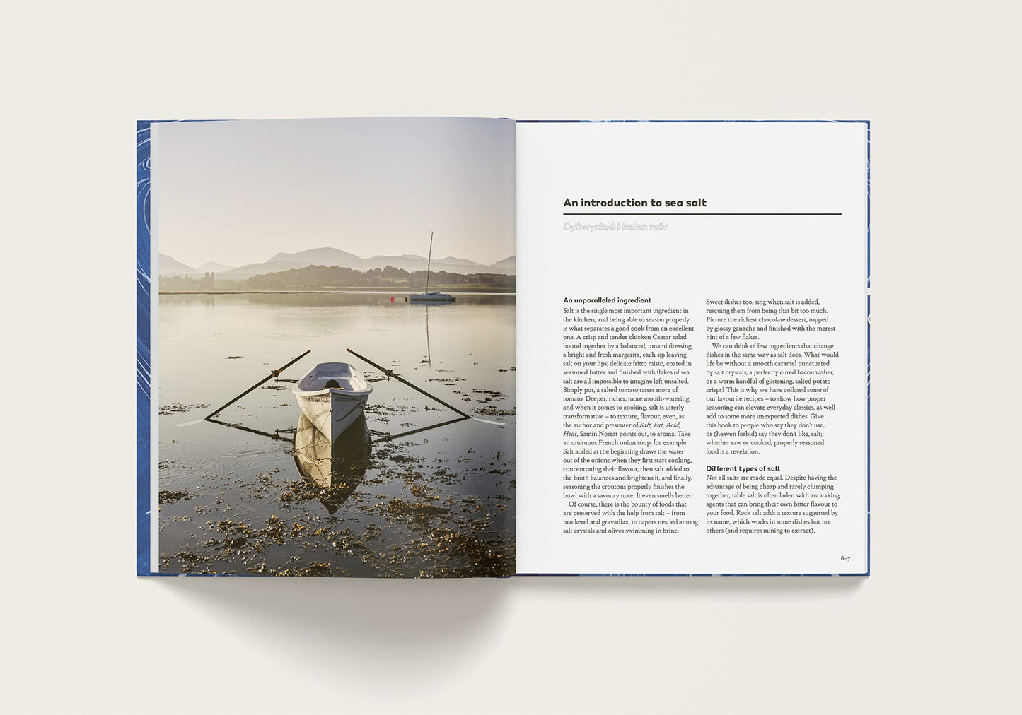 SEA SALT - A PERFECTLY SEASONED COOK BOOK