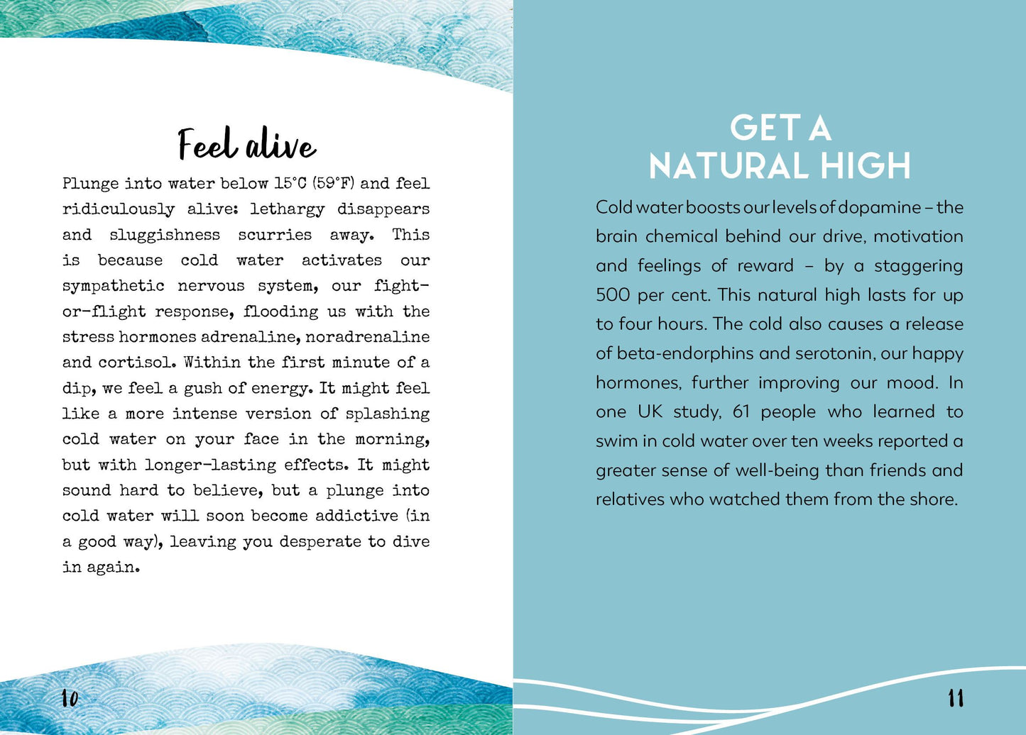 LITTLE BOOK FOR WILD SWIMMING