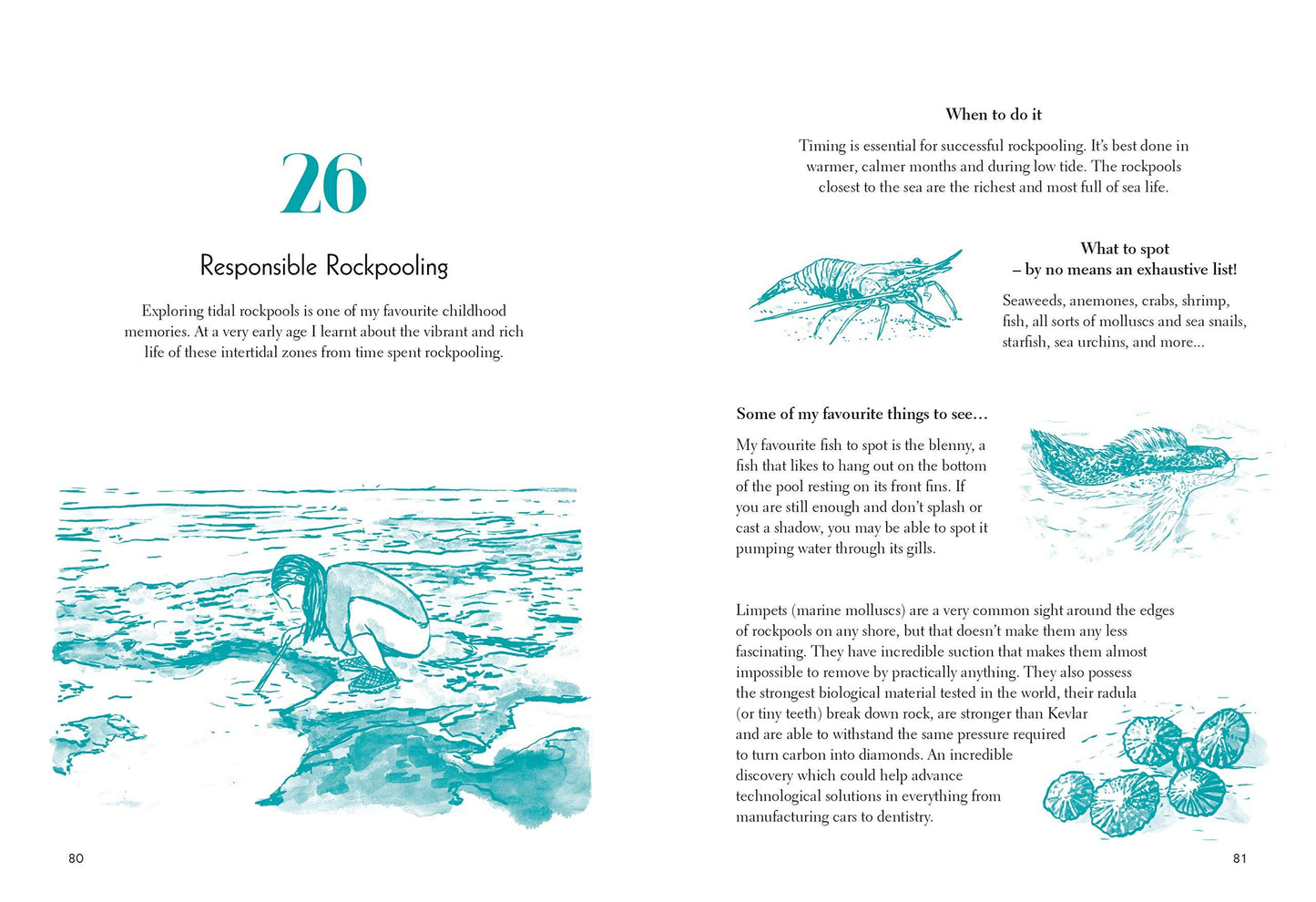 50 THINGS TO DO BY THE SEA
