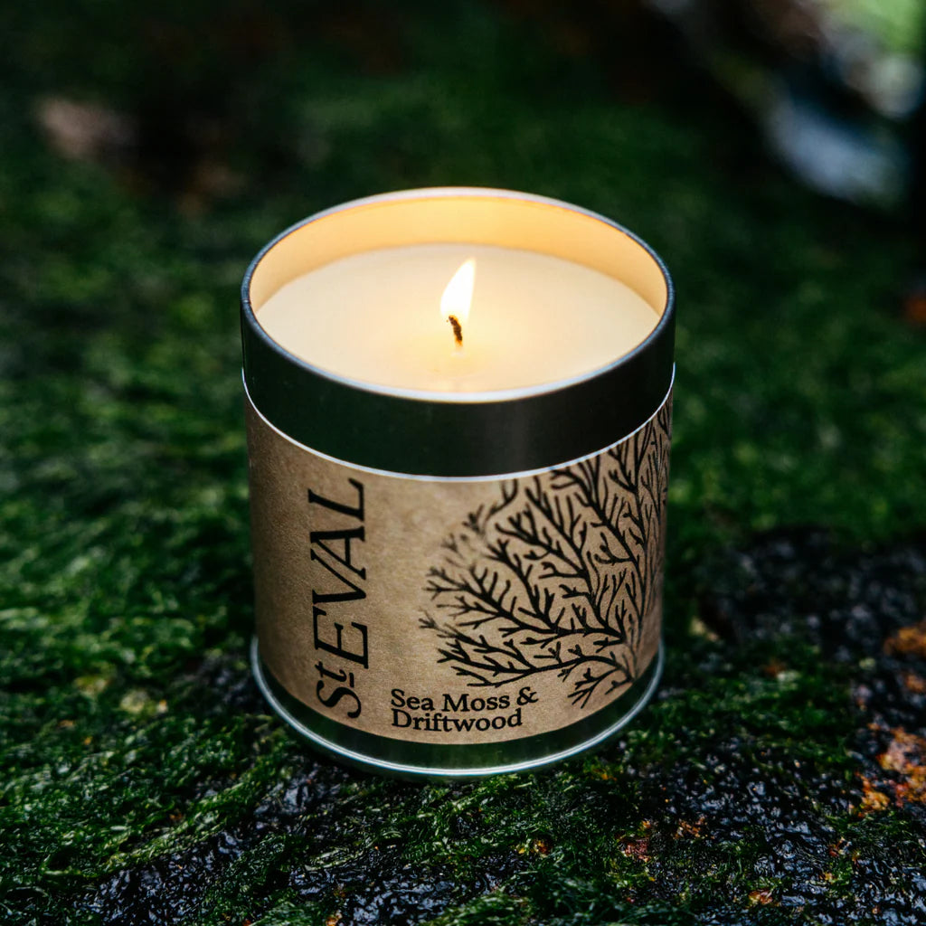 SEA MOSS & DRIFTWOOD - SCENTED TIN CANDLE