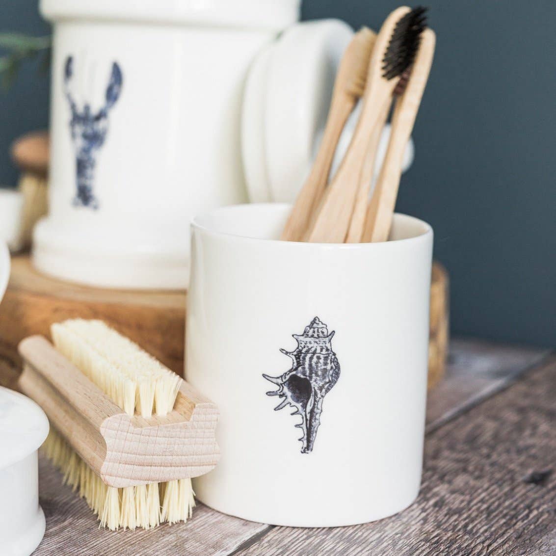 Conch Shell China Pot in a Gift Box