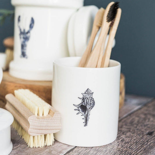 Conch Shell China Pot in a Gift Box