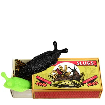 Box of two slimy slugs