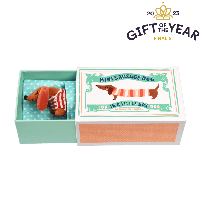 Mini sausage dog in a little box - Sausage Dog soft toy