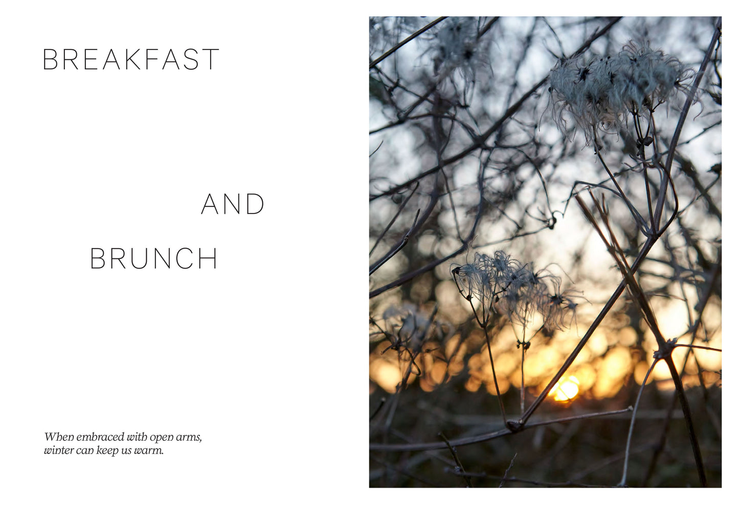 WINTER WELLNESS: NOURISHING RECIPES TO KEEP YOU HEALTHY