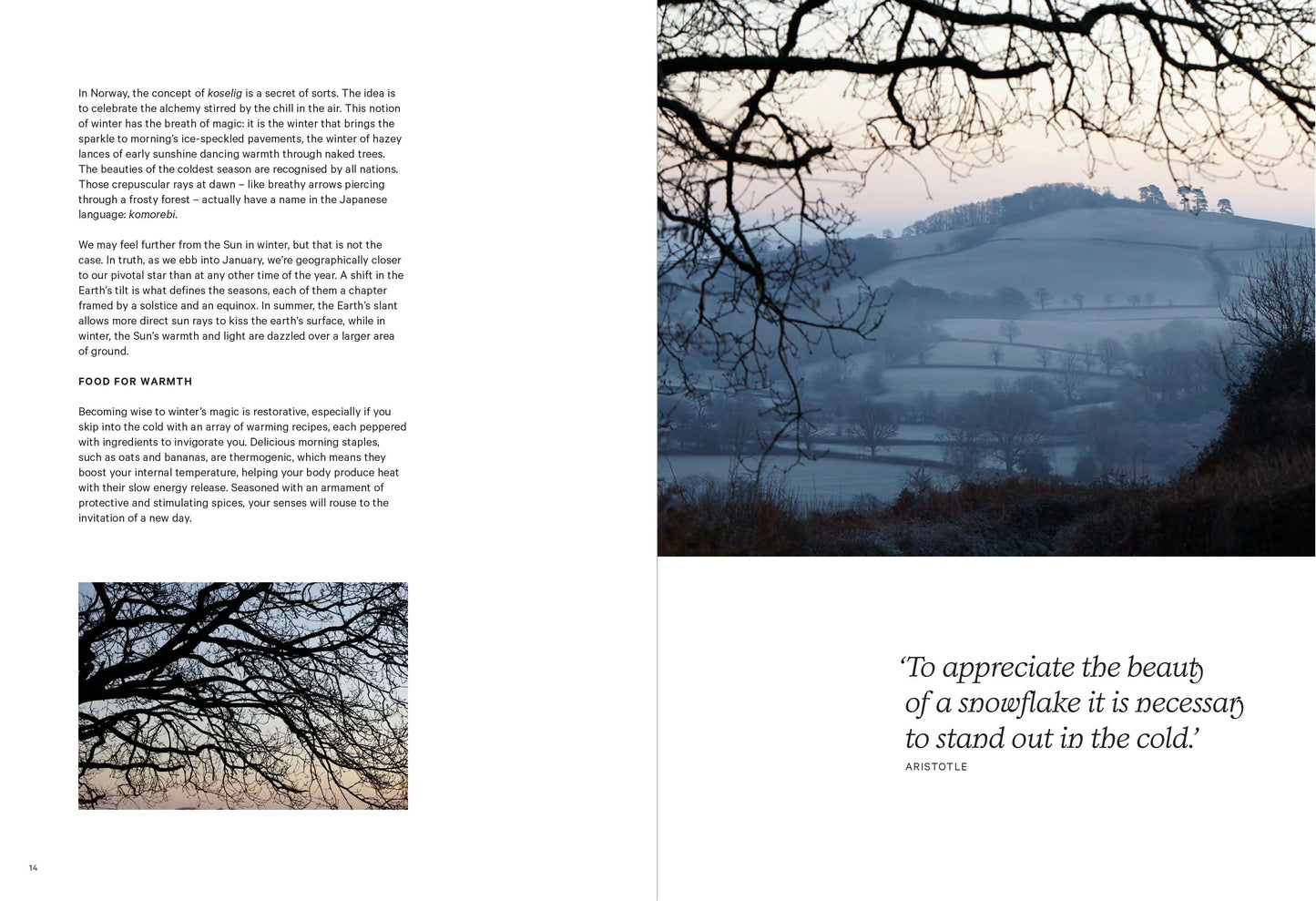 WINTER WELLNESS: NOURISHING RECIPES TO KEEP YOU HEALTHY