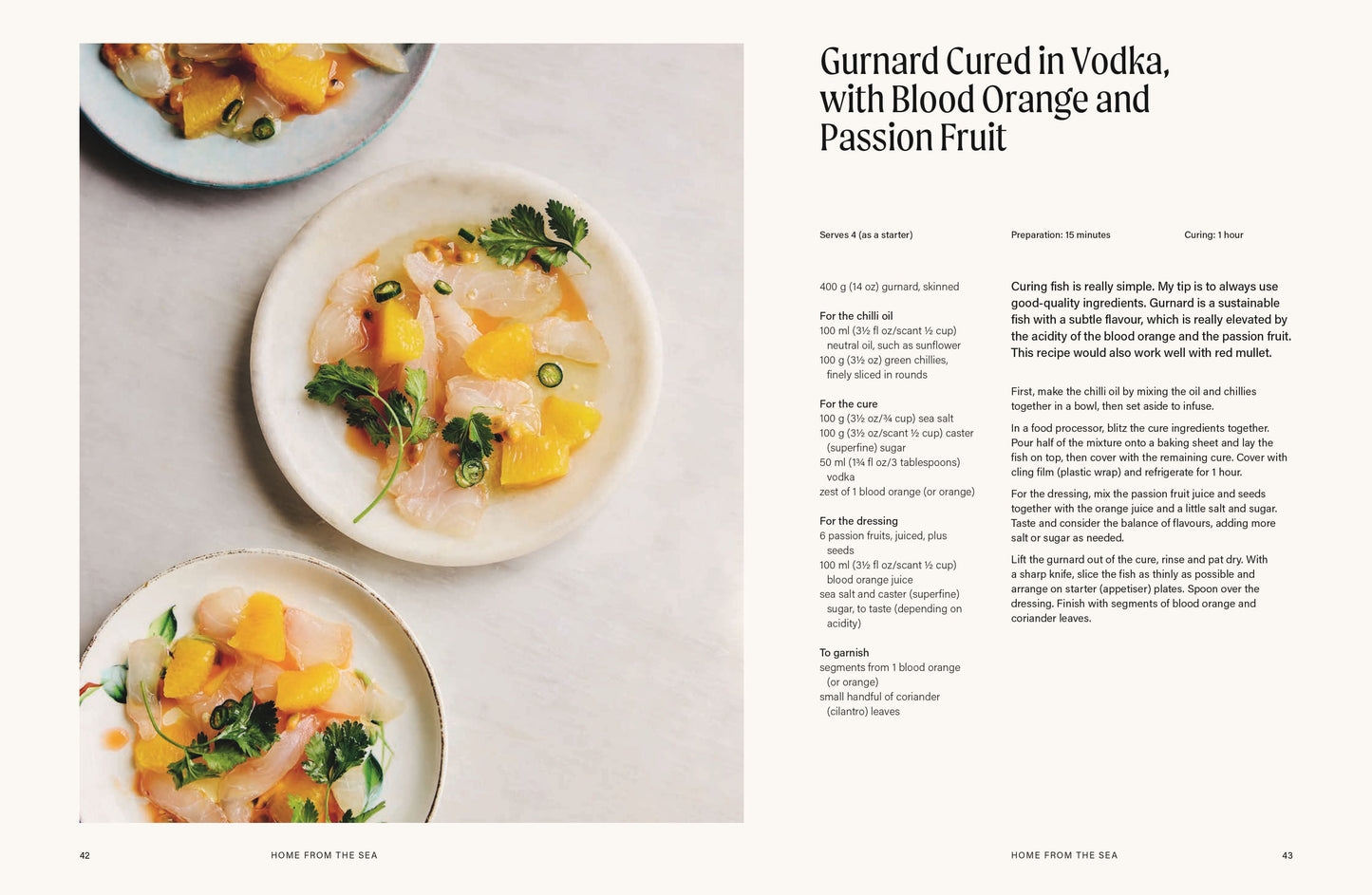 HOME SHORES - 100 SIMPLE FISH RECIPES