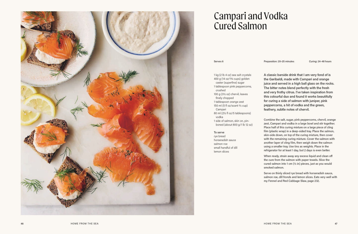 HOME SHORES - 100 SIMPLE FISH RECIPES