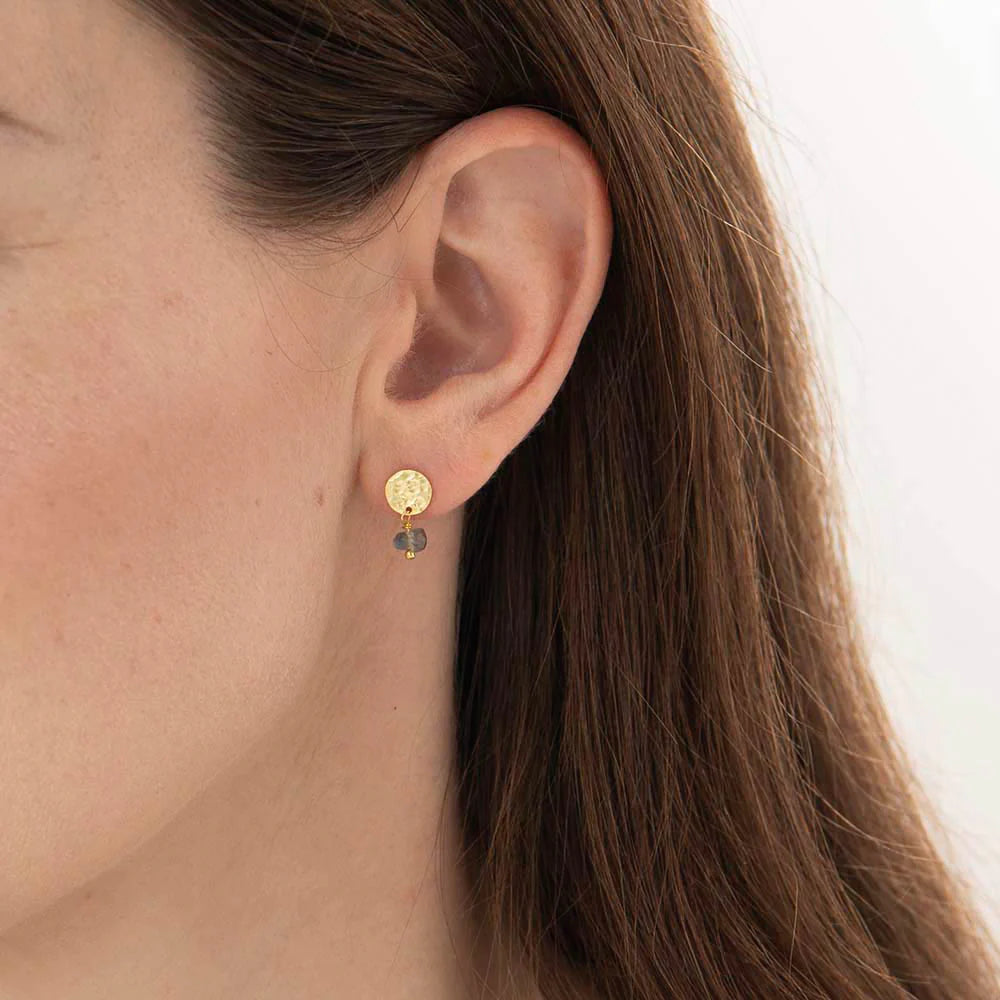 Mini Coin Labrodite Gold Earrings