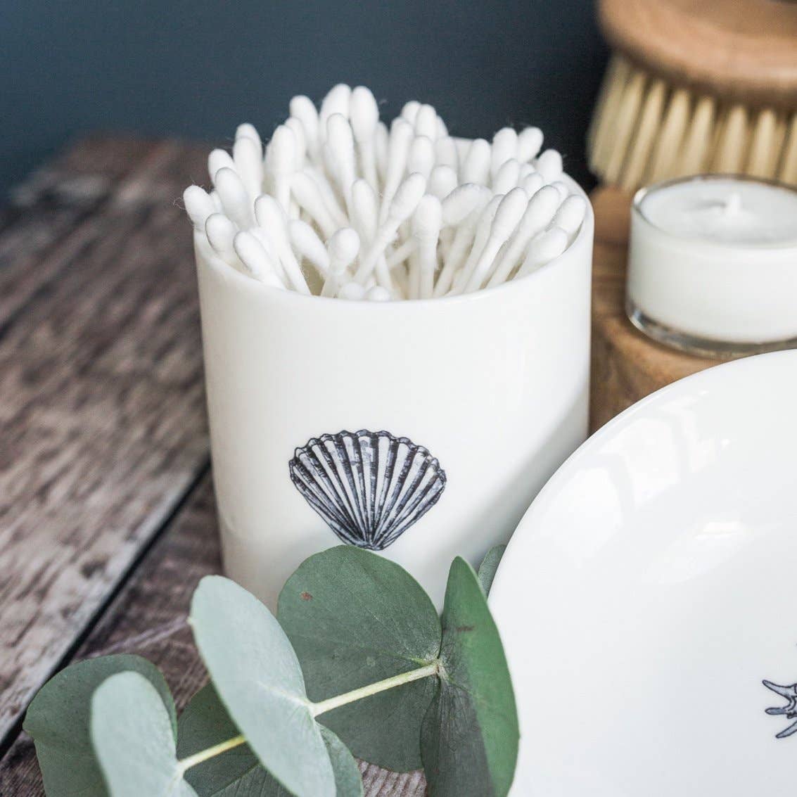 Scallop Shell China Pot in a Gift Box