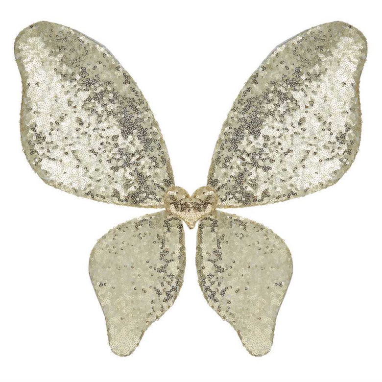 Sparkle Sequin Wings