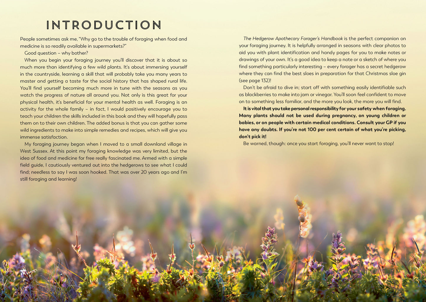 Hedgerow Apothecary Foragers Handbook