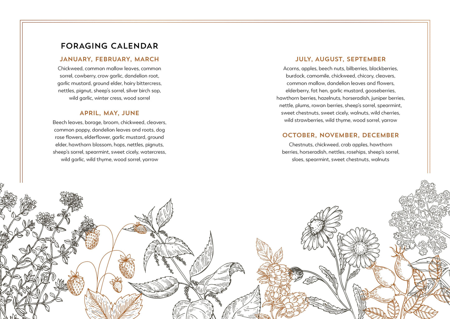 Hedgerow Apothecary Foragers Handbook