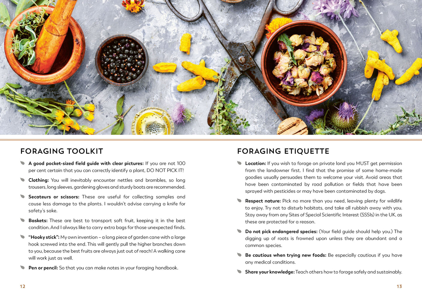 Hedgerow Apothecary Foragers Handbook